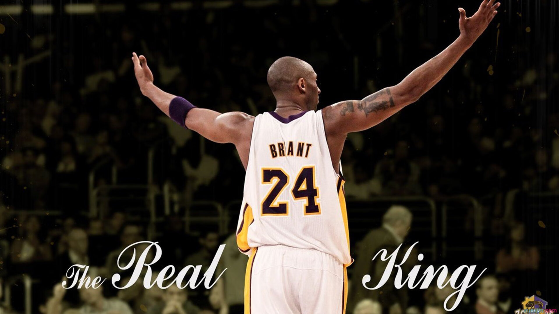 这不是电竞，这是历史！鸟巢见证国民级盛典，鸟巢演出实况